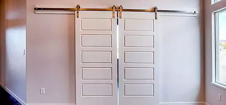 Glass Barn Door with Installation Hardware Kit Fort Washington