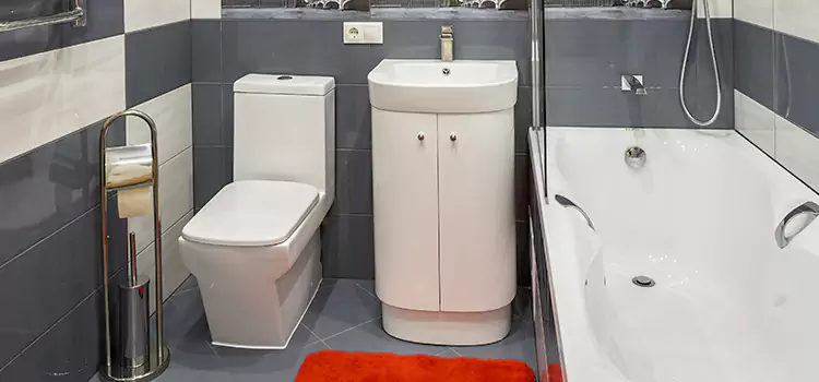 Hansgrohe Shaving Mirror Fort Washington